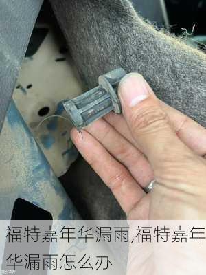 福特嘉年华漏雨,福特嘉年华漏雨怎么办