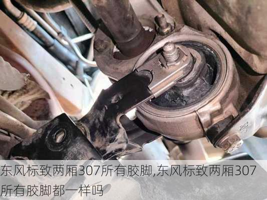 东风标致两厢307所有胶脚,东风标致两厢307所有胶脚都一样吗