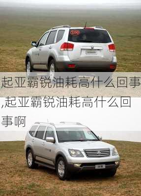 起亚霸锐油耗高什么回事,起亚霸锐油耗高什么回事啊