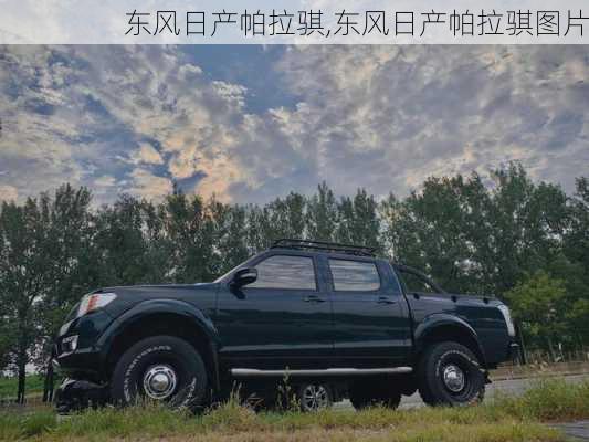东风日产帕拉骐,东风日产帕拉骐图片