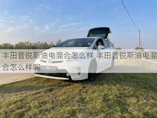丰田普锐斯油电混合怎么样,丰田普锐斯油电混合怎么样啊