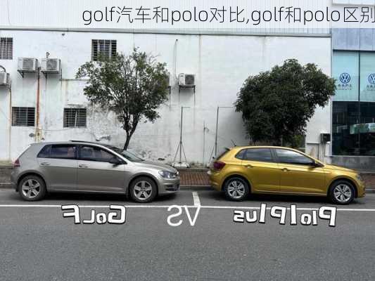 golf汽车和polo对比,golf和polo区别