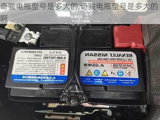 奇骏电瓶型号是多大的,奇骏电瓶型号是多大的啊