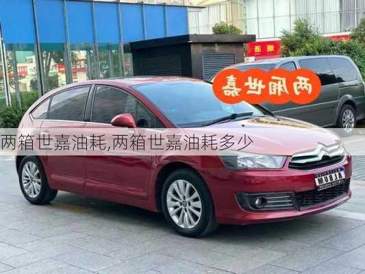 两箱世嘉油耗,两箱世嘉油耗多少