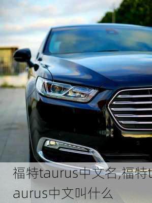 福特taurus中文名,福特taurus中文叫什么