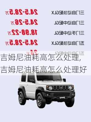 吉姆尼油耗高怎么处理,吉姆尼油耗高怎么处理好