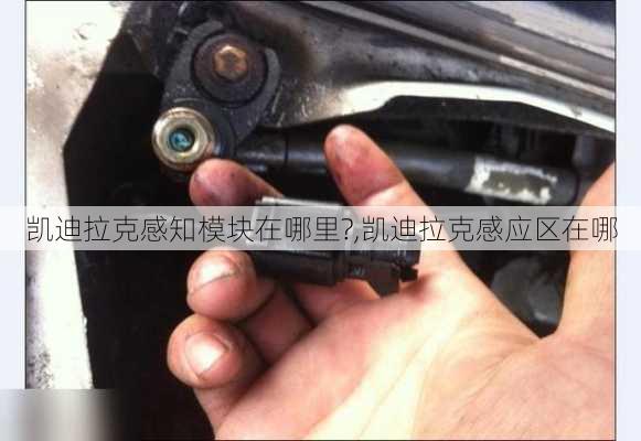 凯迪拉克感知模块在哪里?,凯迪拉克感应区在哪