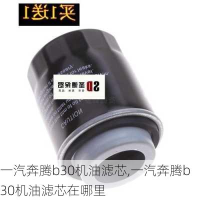 一汽奔腾b30机油滤芯,一汽奔腾b30机油滤芯在哪里