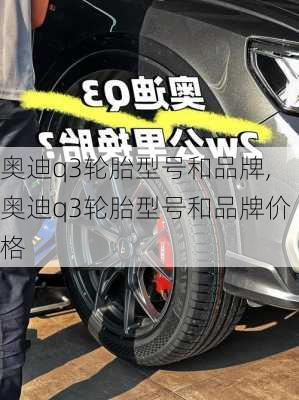 奥迪q3轮胎型号和品牌,奥迪q3轮胎型号和品牌价格