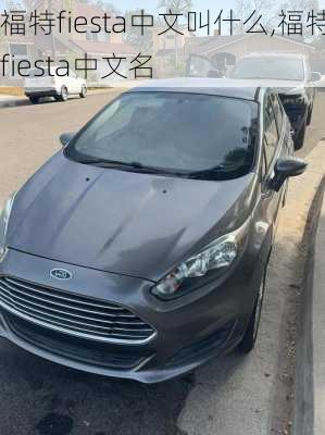 福特fiesta中文叫什么,福特fiesta中文名