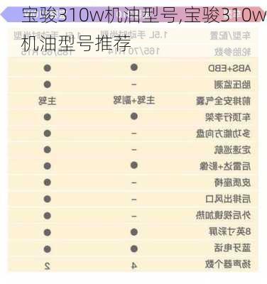 宝骏310w机油型号,宝骏310w机油型号推荐