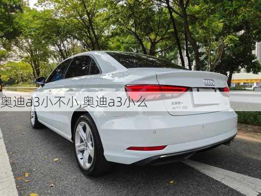 奥迪a3小不小,奥迪a3小么