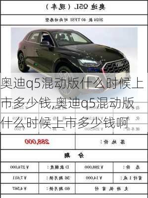 奥迪q5混动版什么时候上市多少钱,奥迪q5混动版什么时候上市多少钱啊