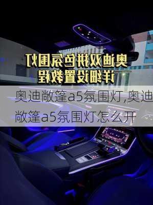 奥迪敞篷a5氛围灯,奥迪敞篷a5氛围灯怎么开