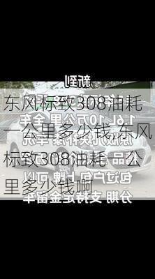 东风标致308油耗一公里多少钱,东风标致308油耗一公里多少钱啊