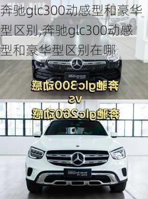 奔驰glc300动感型和豪华型区别,奔驰glc300动感型和豪华型区别在哪