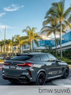 bmw suvx6,