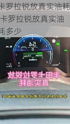 卡罗拉锐放真实油耗,卡罗拉锐放真实油耗多少
